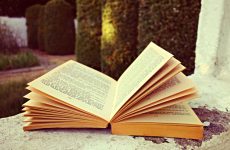 Юмористическая литература: книги, которые заставят вас улыбнуться